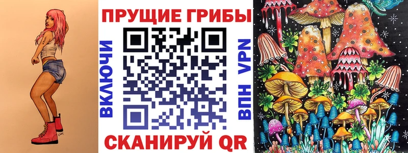 Псилоцибиновые грибы мухоморы  где продают наркотики  Пугачёв 